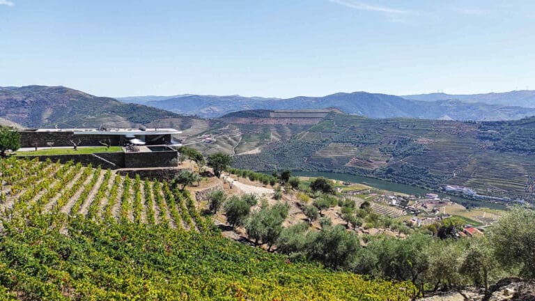 Douro Views Portugal