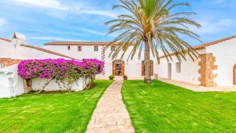 Finca Torrenova Spain