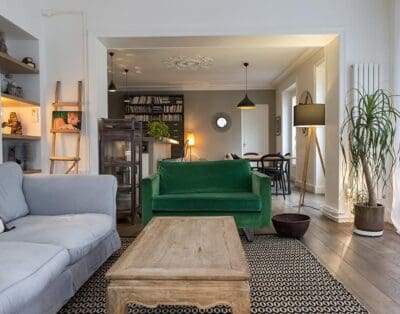 Rent Apartment Brown Crested South Pigalle