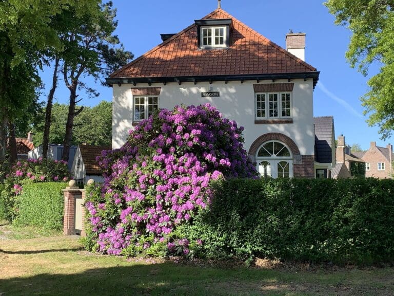 Rent Apartment Grain Molave Netherlands