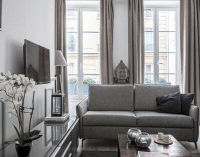 Rent Apartment Harlequin Pine South Pigalle