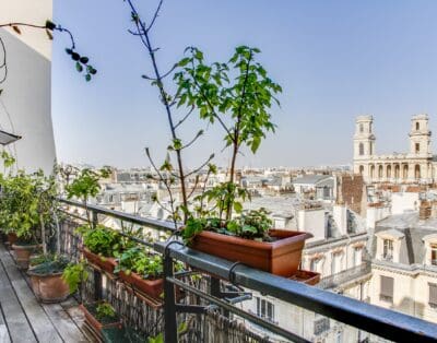 Rent Apartment Tea Canary Saint Germain des Prés – Odéon