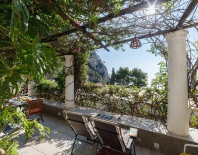 Rent Apartment Tiffany Goat-Tree Capri