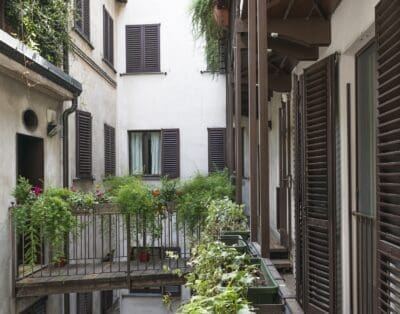 Rent Apartment Violet-Red Waxflower Porta Venezia
