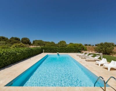 Rent Villa Persimmon Parasol Tree Puglia