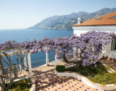 Rent Villa Poppy Beefwood Amalfi Coast
