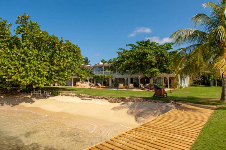 Alvita Jamaica