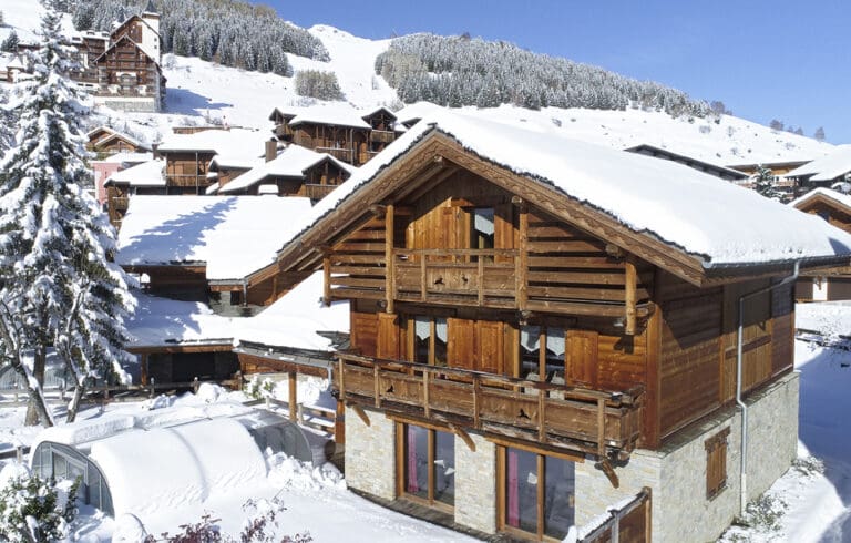 Chalet Le Saule France