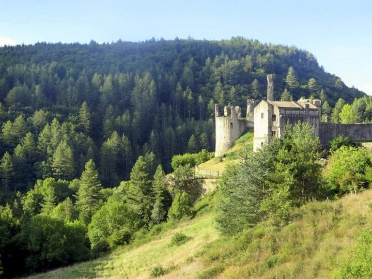 Chateau De Baloigne France