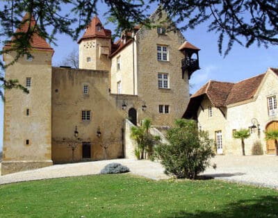 Chateau De Bearn France
