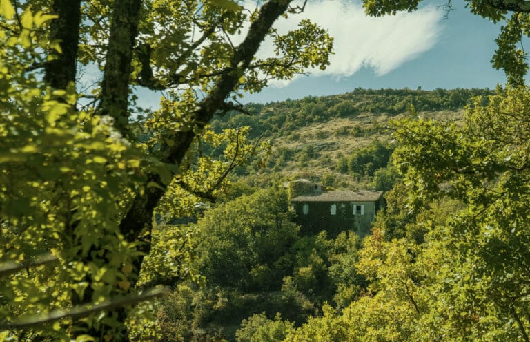 Chateau Sauvage France
