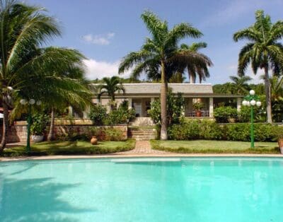 Drambuie Estate Jamaica