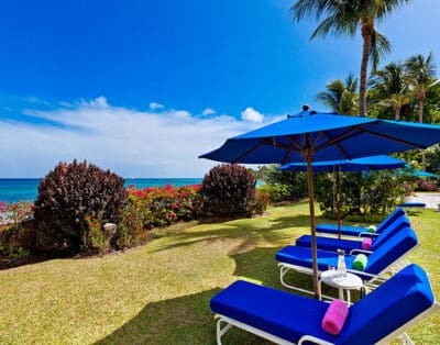 Emerald Beach #6 – Cassia Barbados
