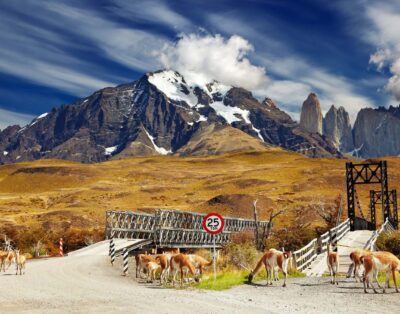 Explore And Experience Glorious Patagonia