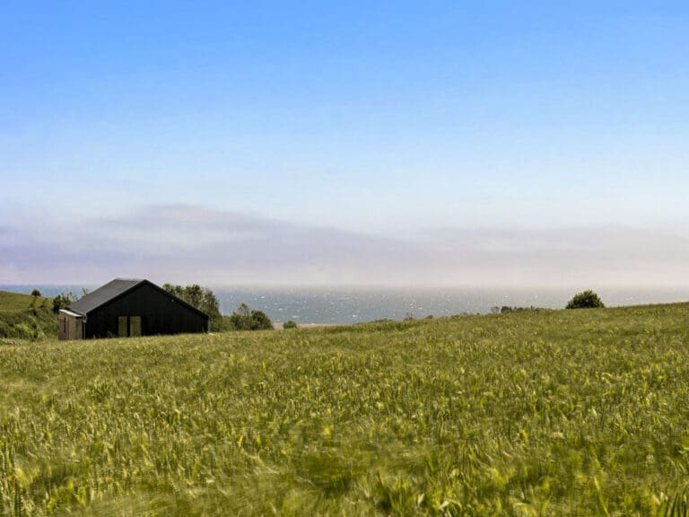 Langton Barn United Kingdom