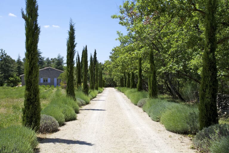 Villa Borie France