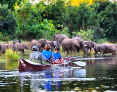 5 Reasons to Visit & Safari In Zambia