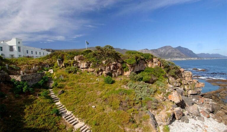 A Grand Tour of South Africa's Western Cape: Food and Wine