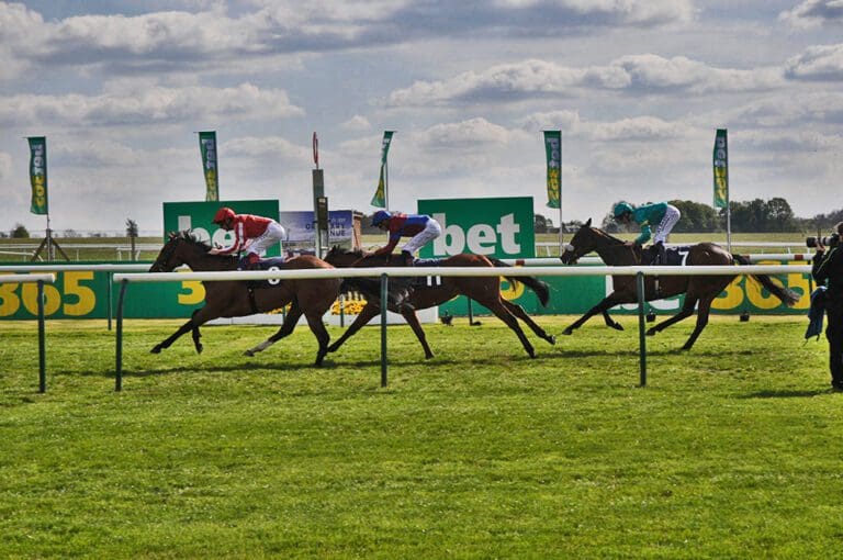 British Horse Racing: Blandford Bloodstock Race Horse Ownership