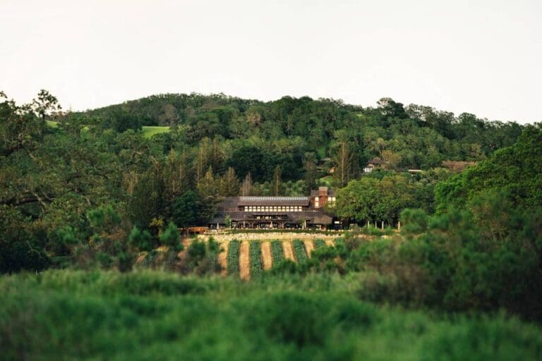 Exploring Insignia - Joseph Phelps' Flagship Wine