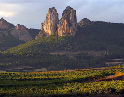 Feted Rioja Producer Muga Lights Up The Taste Buds