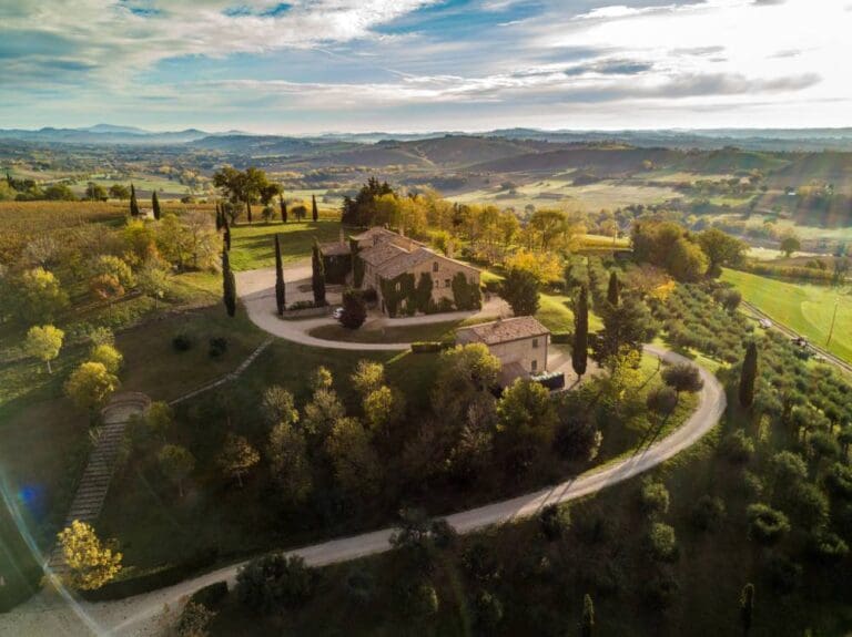 Italian Verdicchio: A Timeless Classic with Remarkable Ageing Potential