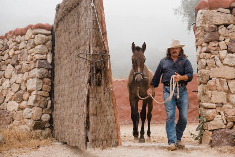 La Finca Donaira Luxury Equestrian Hotel Andalucia