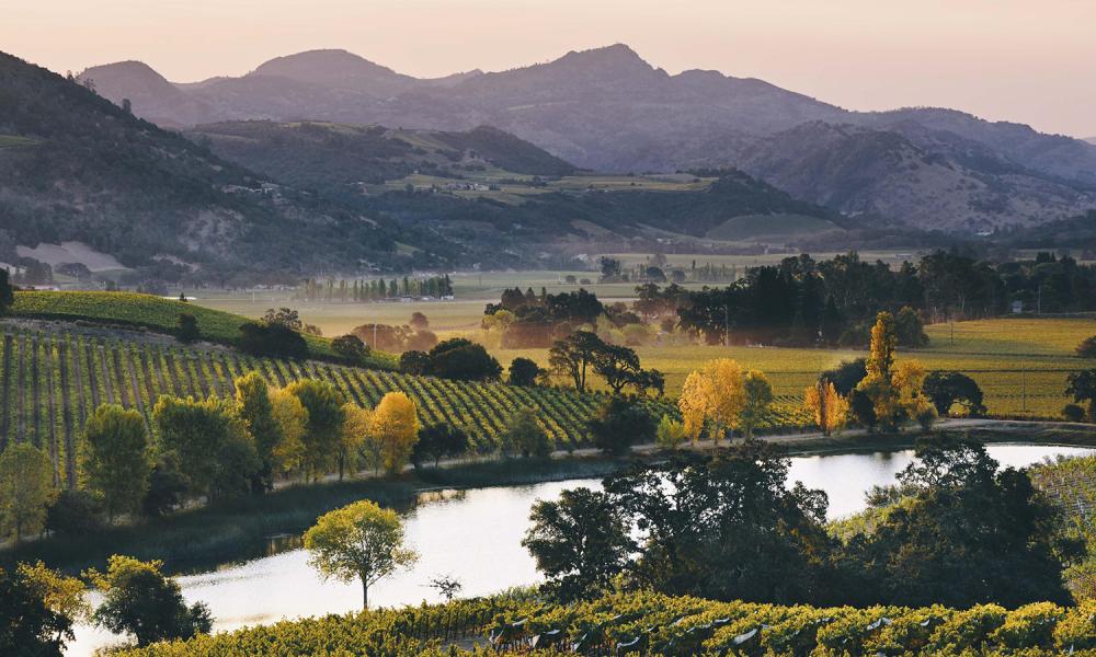 Quintessa – A Jewel In Napa Valley