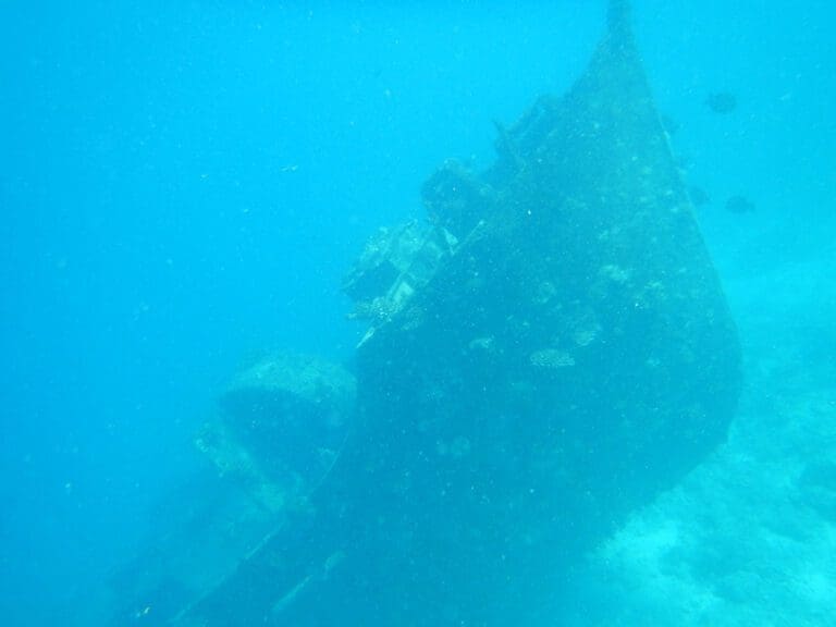 Scuba Diving In The Maldives With Prodivers