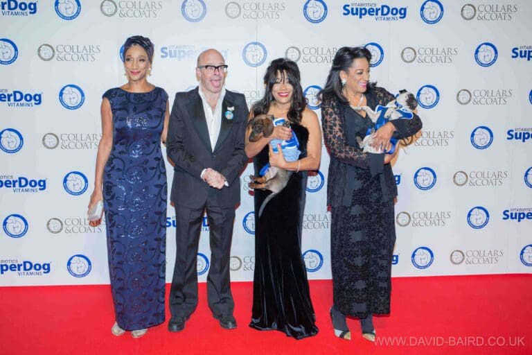 Stars Light Up Red Carpet  Battersea Dogs & Cats Home’s Collars & Coats Gala Ball