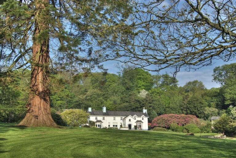 Ynyshir Hall Wales
