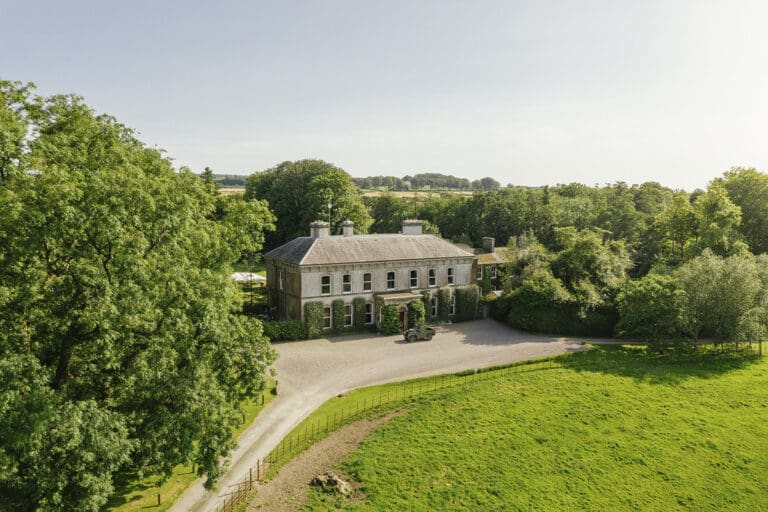 Rent Honey Meadow Ireland