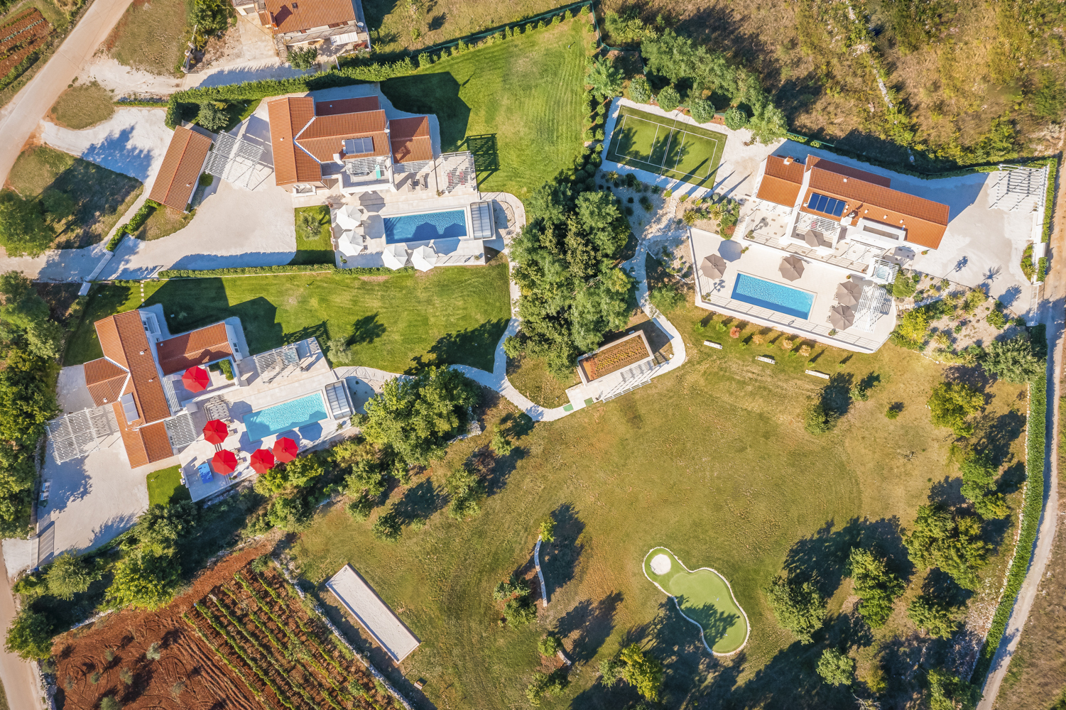 Luxury villas in Svetvinčenat