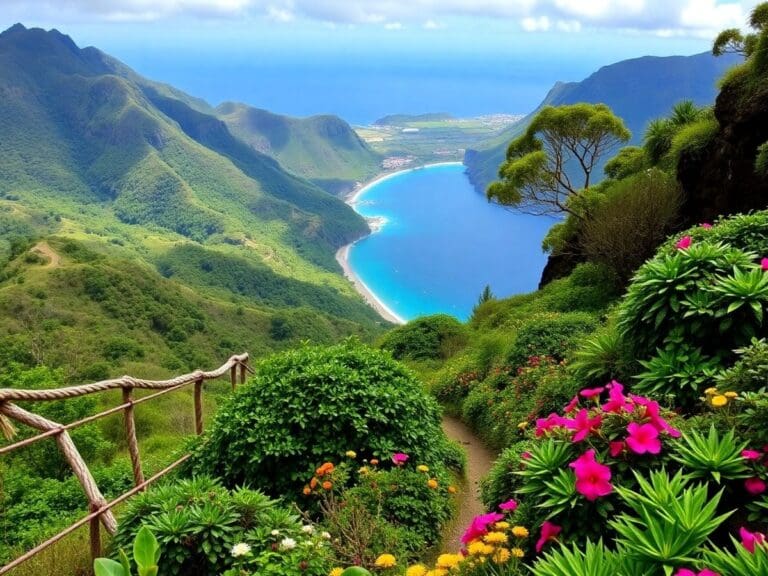 Madeira erkunden: Ein umfassender Reiseführer zu Wandern, Gärten und Inselansichten