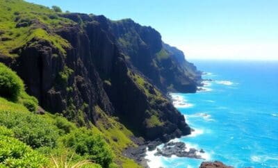 Explore os Parques Naturais de Tenerife – Praias e Culinária Tradicional
