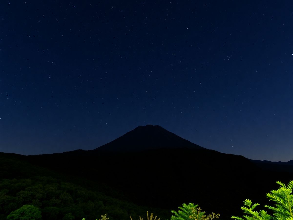Guide de voyage La Palma – Forêts luxuriantes – Observation des étoiles & Volcans
