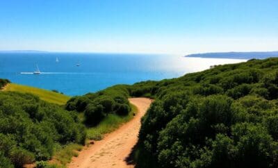 Seu Guia para as Melhores Atividades ao Ar Livre e Gastronomia de Sotogrande