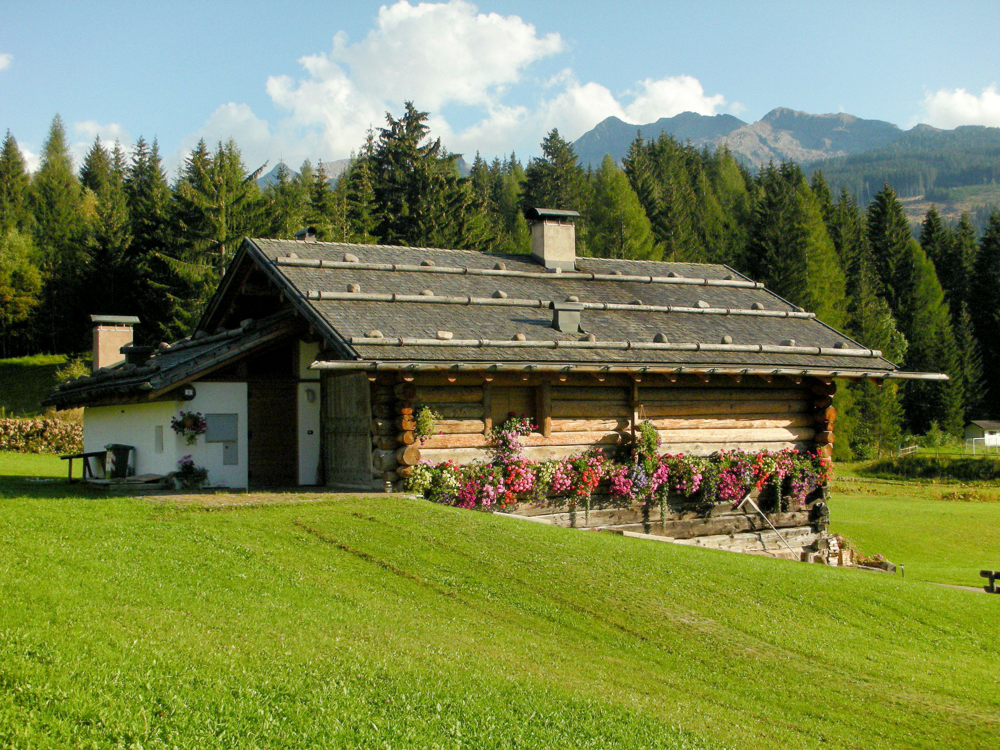 Chalet Fohn Predazzo: Stunning 4-Bedroom Alpine Retreat with Mountain Views and Garden in the Heart of the Dolomites