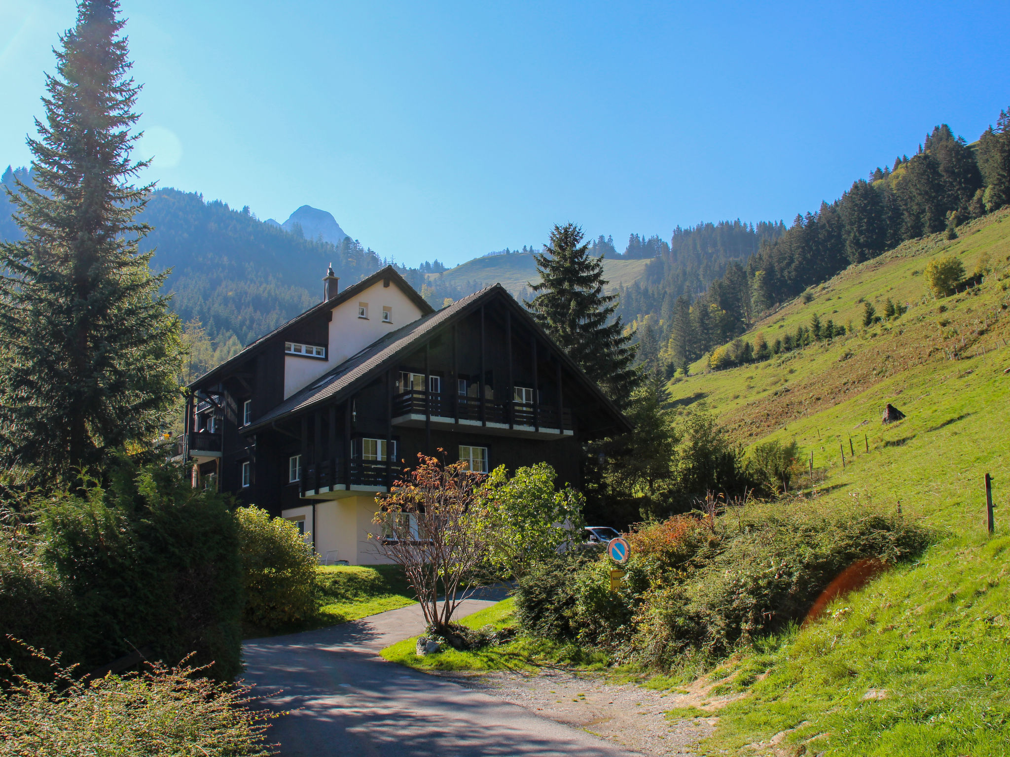 Chalet Vanil Moleson: Cosy Mountain Apartment with Alpine Views and Ski Access in Swiss Alps