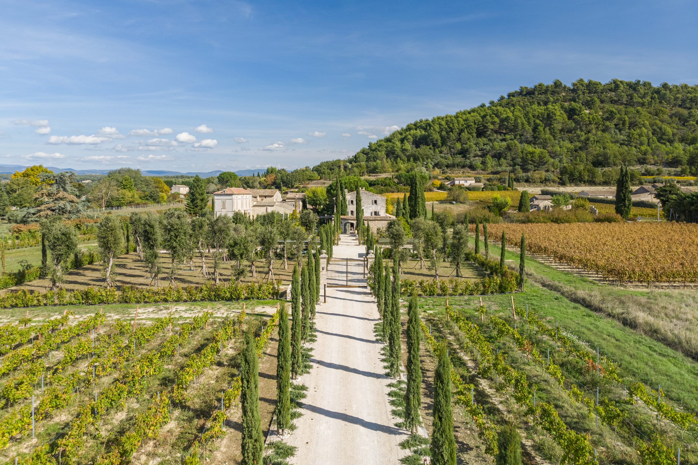 Château Mistral Vaucluse Provence 2: Spacious 5-Bedroom Apartment with Pool, Vaucluse