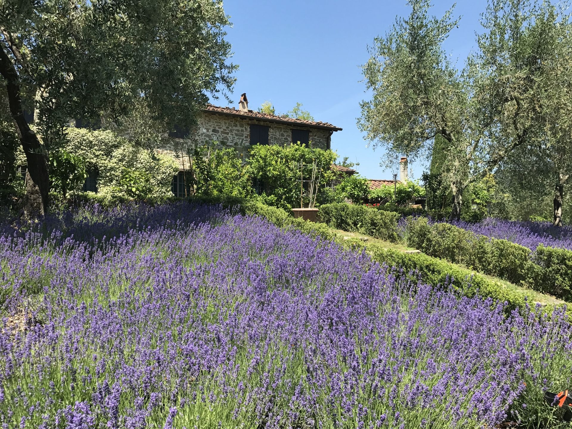 Fattoria Oliveto Lucca: Spacious 5-Bedroom Apartment with Pool and Family-Friendly Features, Lucca