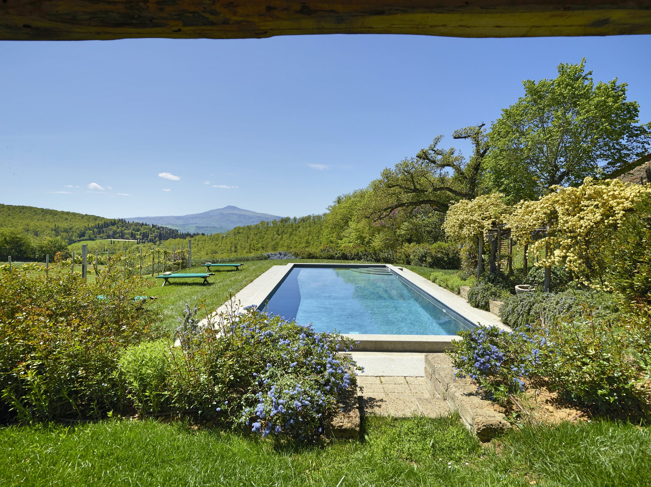 Fattoria Vino Montepulciano: Luxurious 6-Bedroom Apartment with Pool in Tuscany Countryside