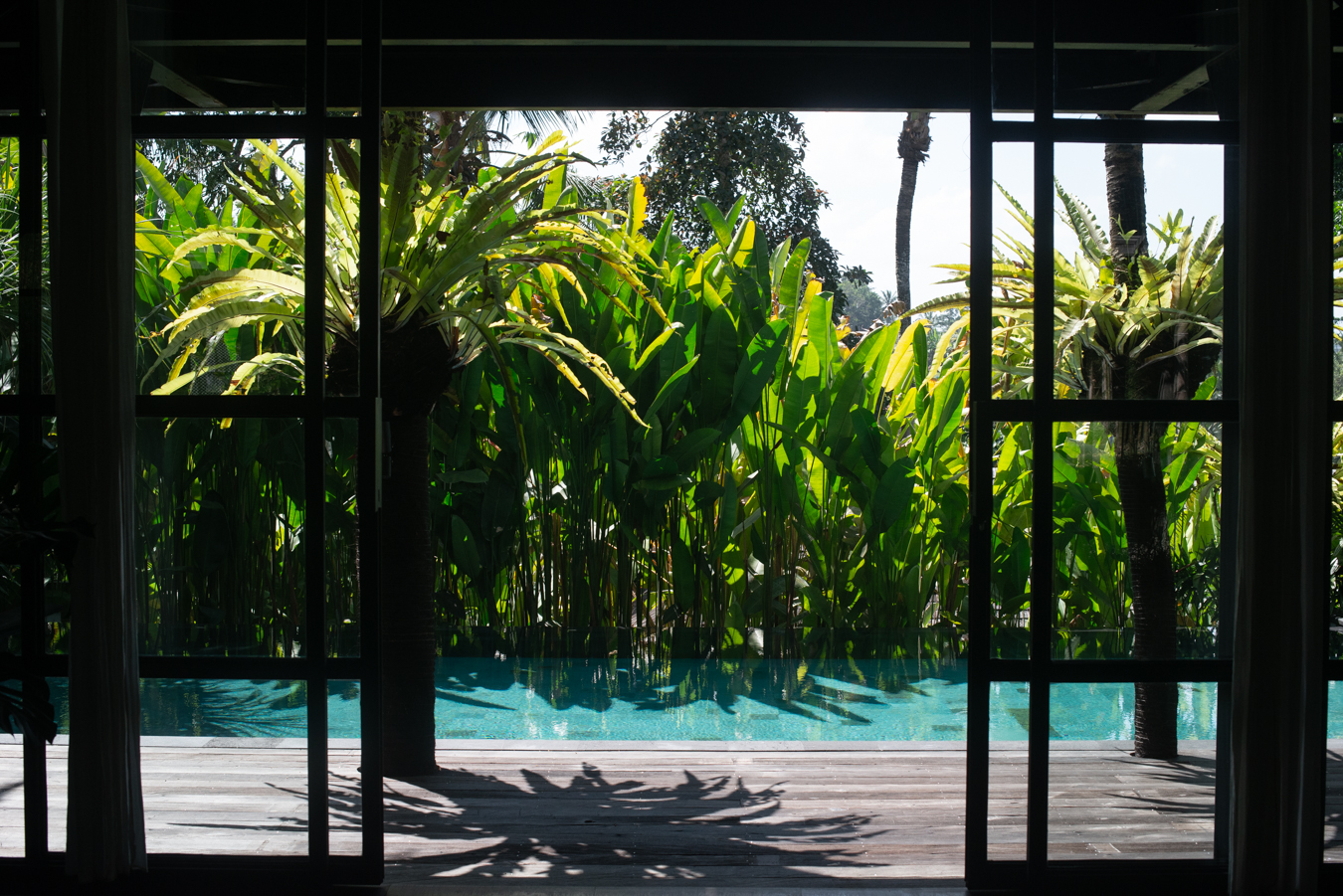 Villa Pohon Ubud: Luxury 3-Bedroom Apartment with Swimming Pool, Bali