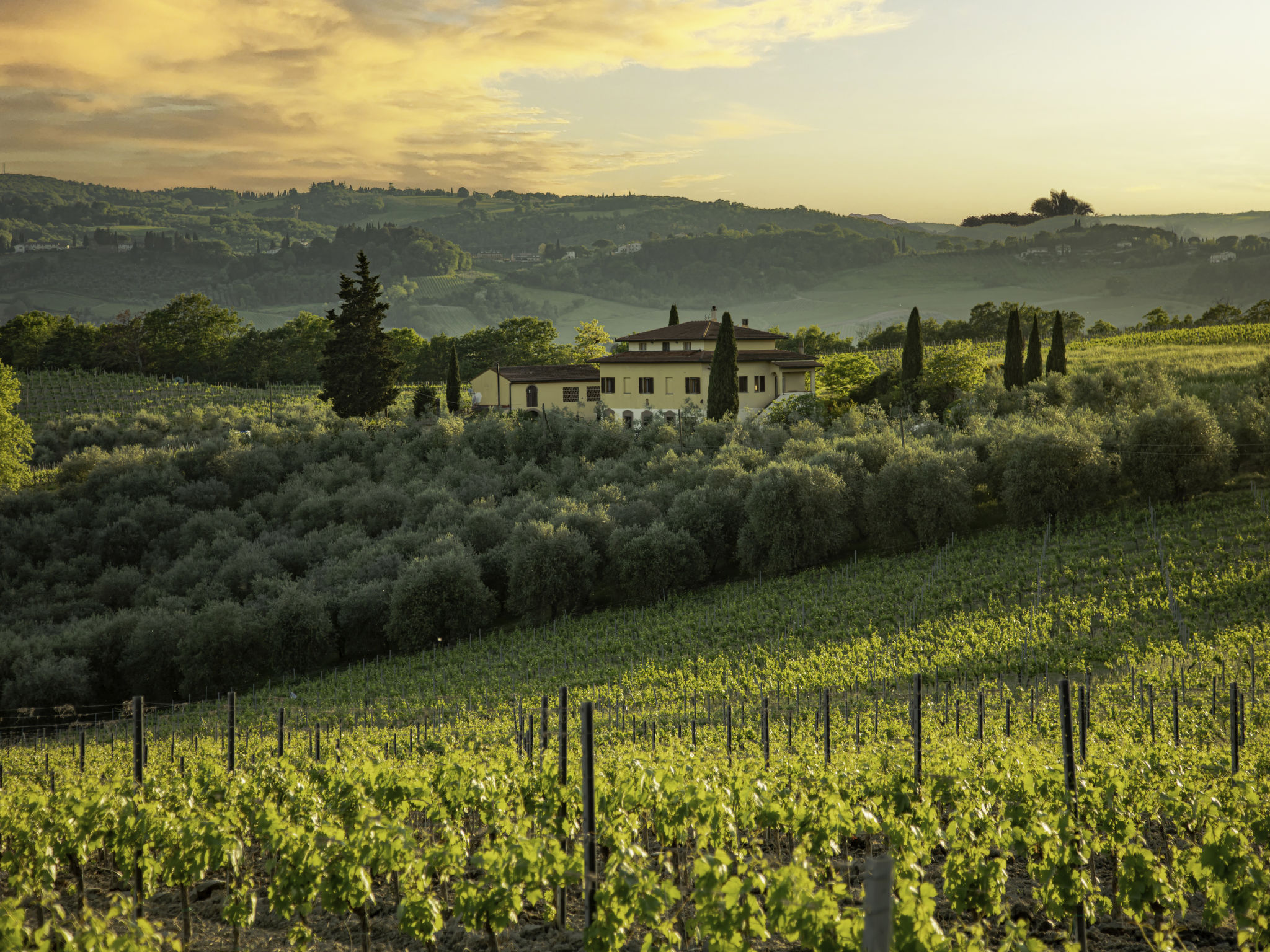 Villa Tramontana San Gimignano: Rustic 5-Bedroom Farmhouse with Private Pool and Medieval Tower Views in Tuscan Countryside