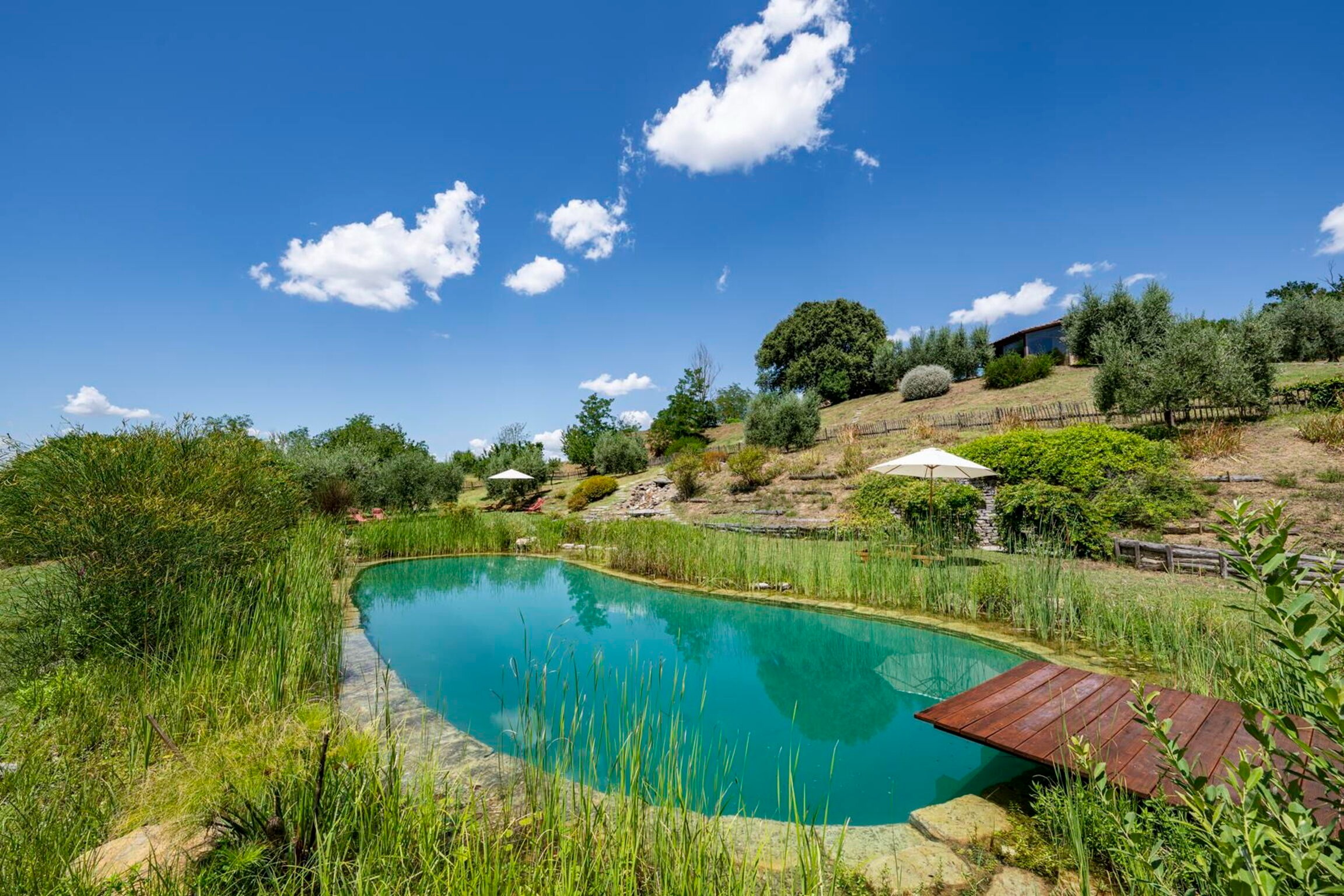 Villa Ceruleo Monteluco Umbria: Luxury 5-Bedroom Apartment with Sauna and Eco-Pool, Umbria