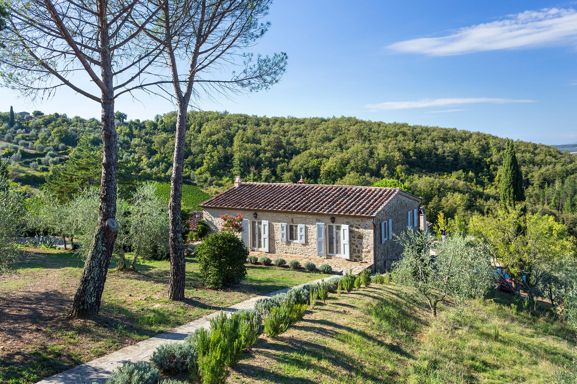 Villa Collina Rietine: Luxury 4-Bedroom Villa with Private Pool and Air Conditioning, Chianti