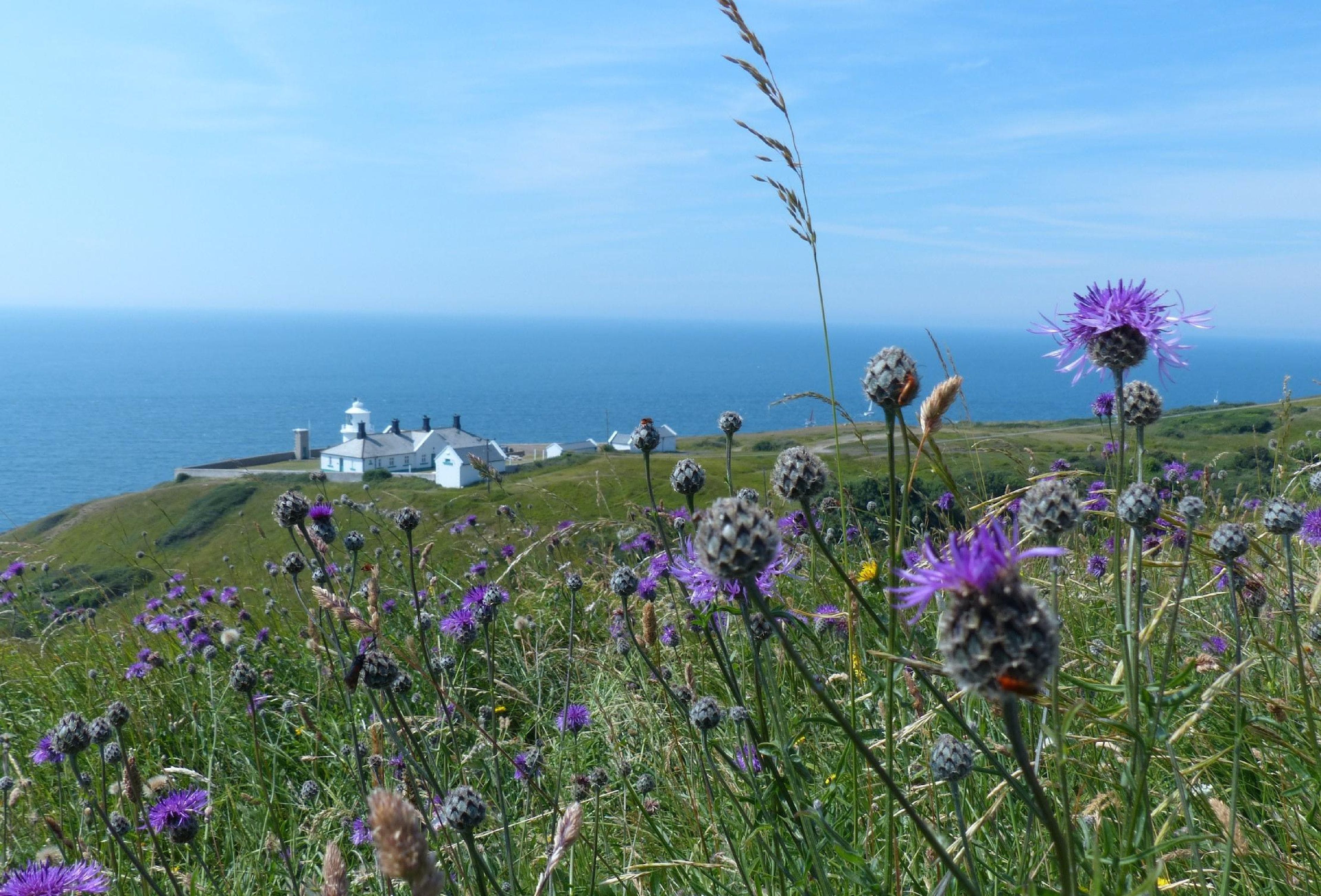 Apartment Helm Heather Kimmeridge: Charming 4-Bedroom Apartment with Sea Views and Private Parking, Isle of Purbeck