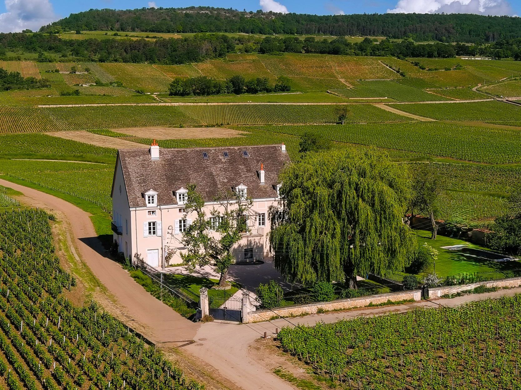 Château Pourpre Gevrey Beaune: 8-Bedroom Historic Estate with Heated Pool & Vineyard Views