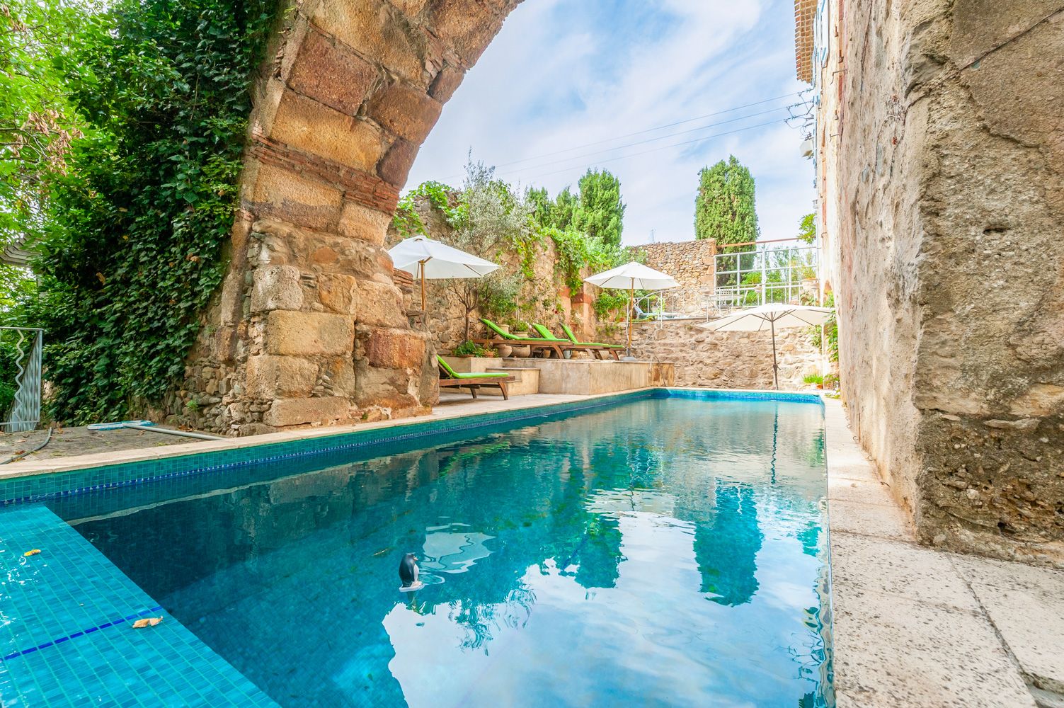 Mas Lumière Assignan Saint-Chinian: 7-Bedroom Villa with Infinity Pool and Vineyard Views in Sai