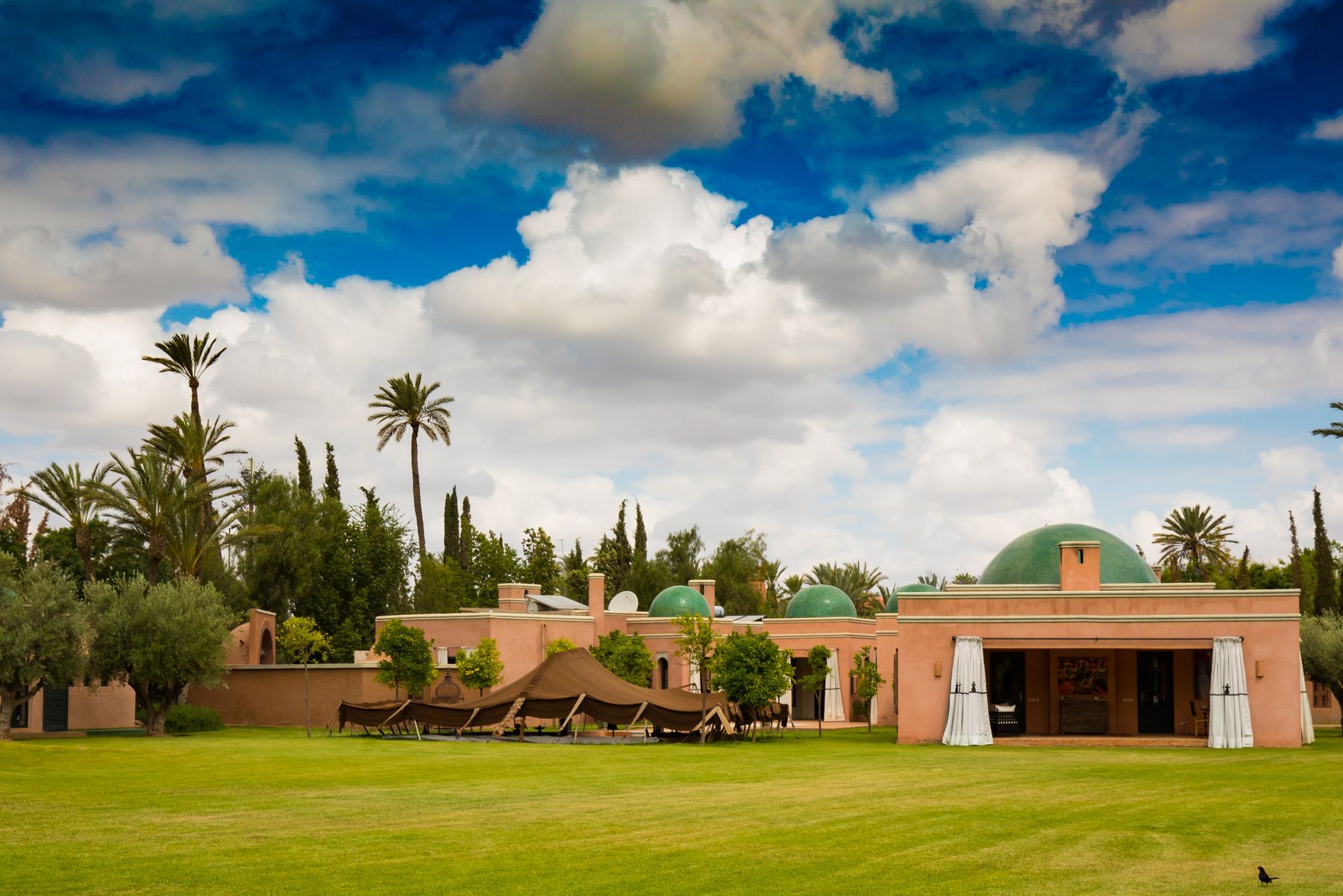 Riad Zaytoun Sidi Bouzid Ezzahra: 3-Bedroom Resort with Heated Pool and Spa in Ezzahra, Morocc